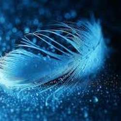 Featherlight's Chat & Dating Profile