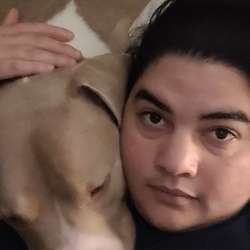 Lisy's Chat & Dating Profile