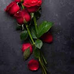Saransara's Chat & Dating Profile
