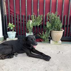cuprse's Chat & Dating Profile