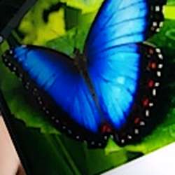 lonelybutterfly's Chat & Dating Profile